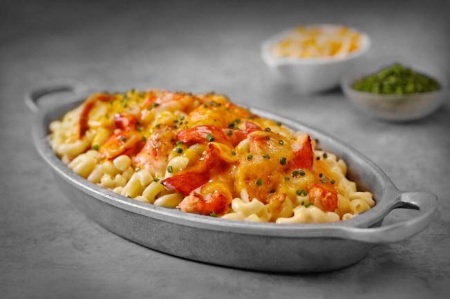 best mac and cheese dishes, cheesy sauce