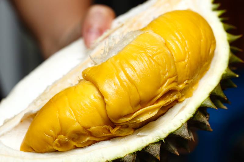 , Hardcore durian fans: get ready for World Durian Championship 2018