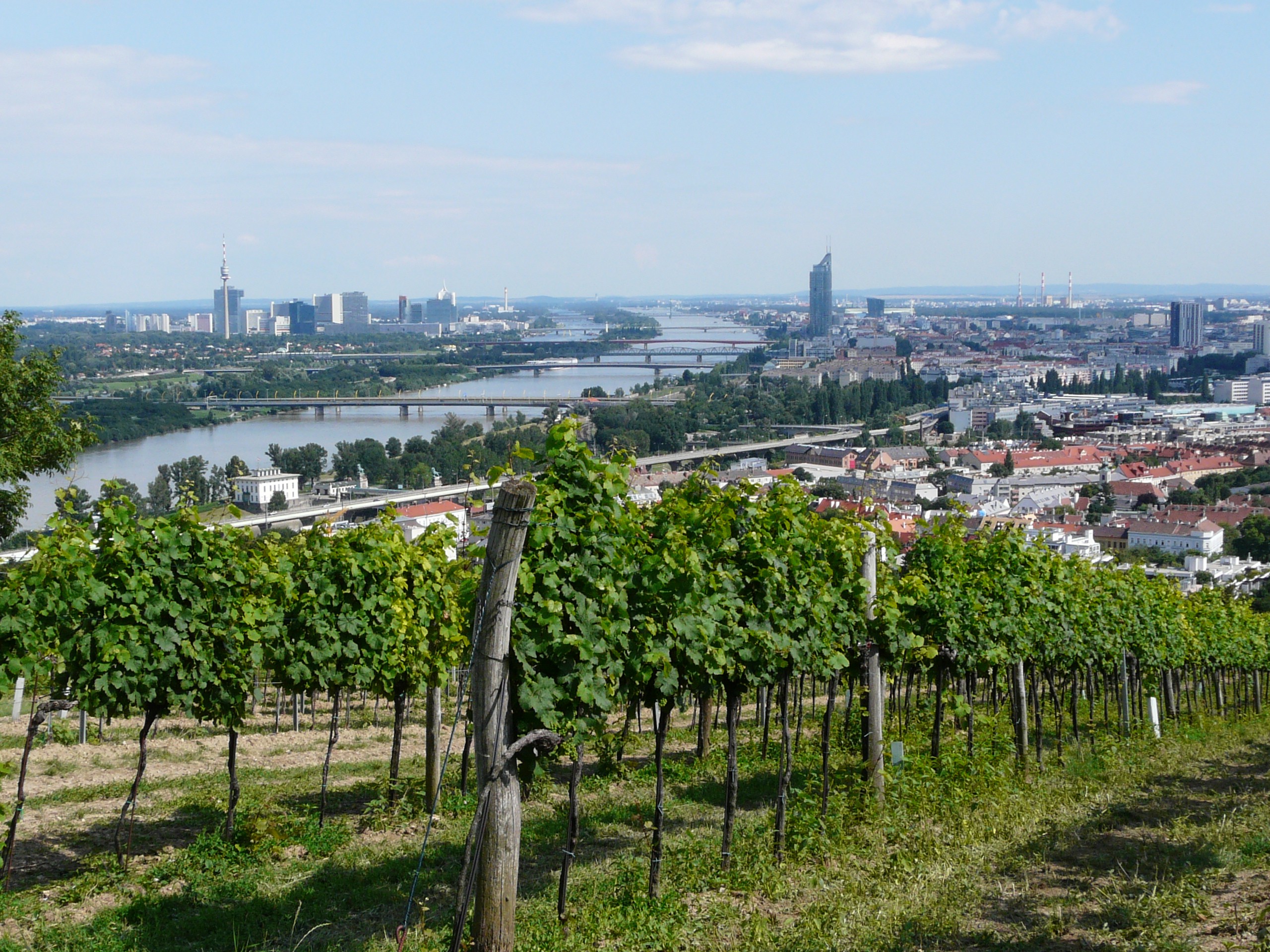 , Good news for Austrian wine lovers