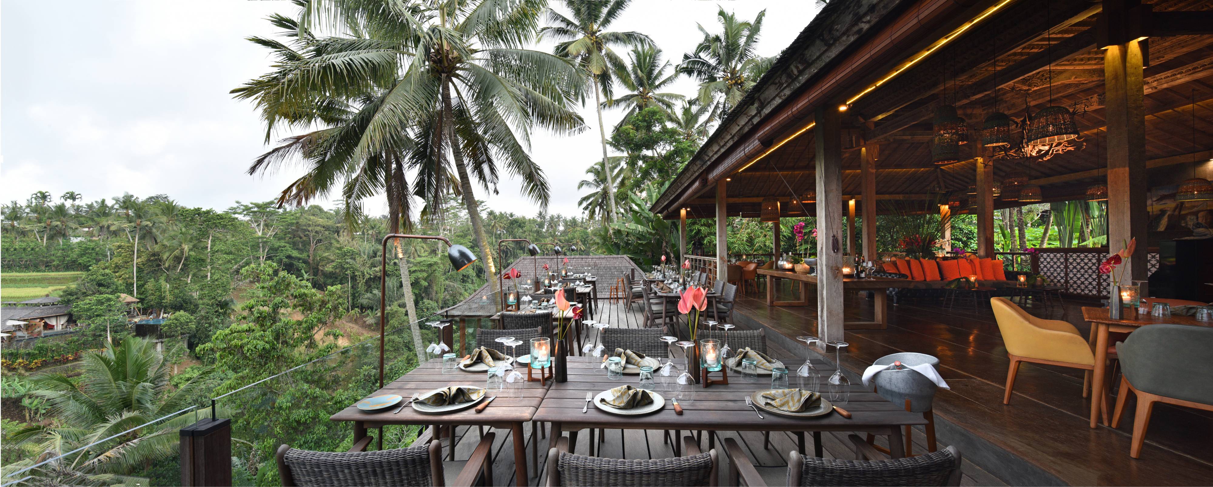 , Romantic meal for two at Jungle Fish Restaurant