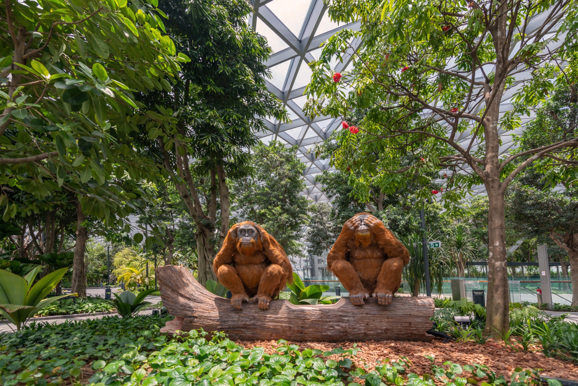 , Here&#8217;s how to spend 24 hours at Jewel Changi Airport