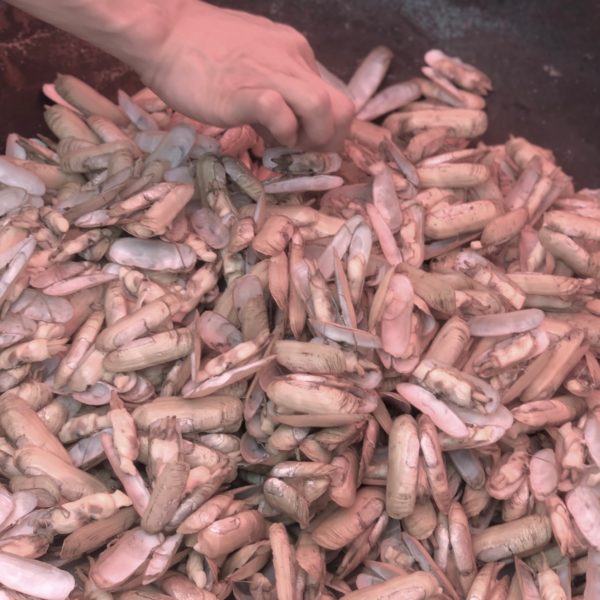 , We visited the city that inspired one Michelin-starred PUTIEN’s cuisine