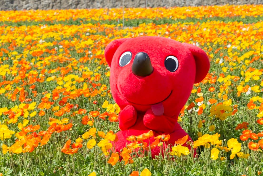 , Chiba Prefecture’s gastronomical delights