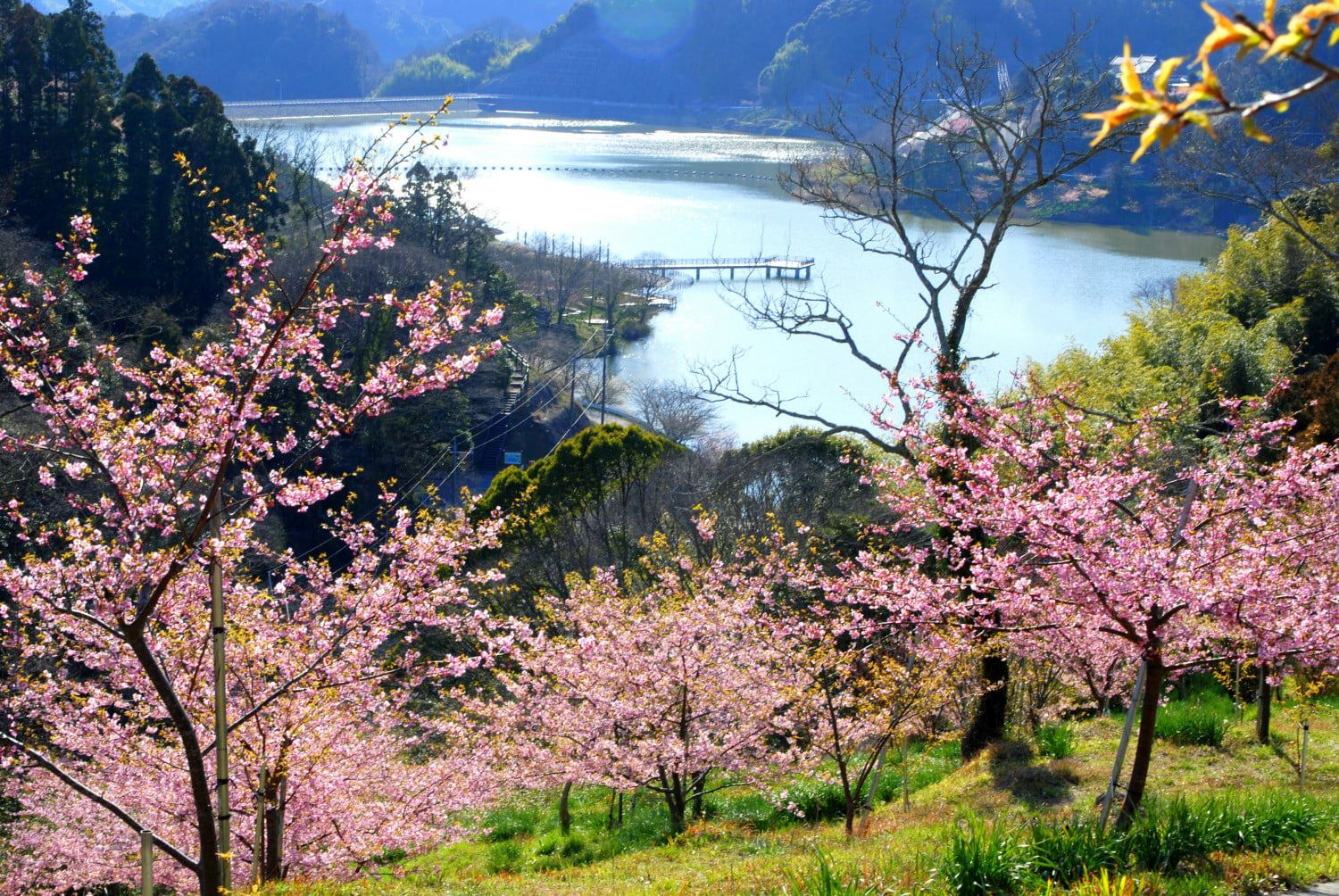 , Chiba Prefecture’s gastronomical delights