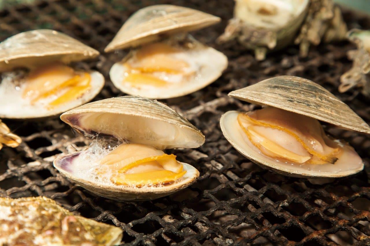 , Chiba Prefecture’s gastronomical delights