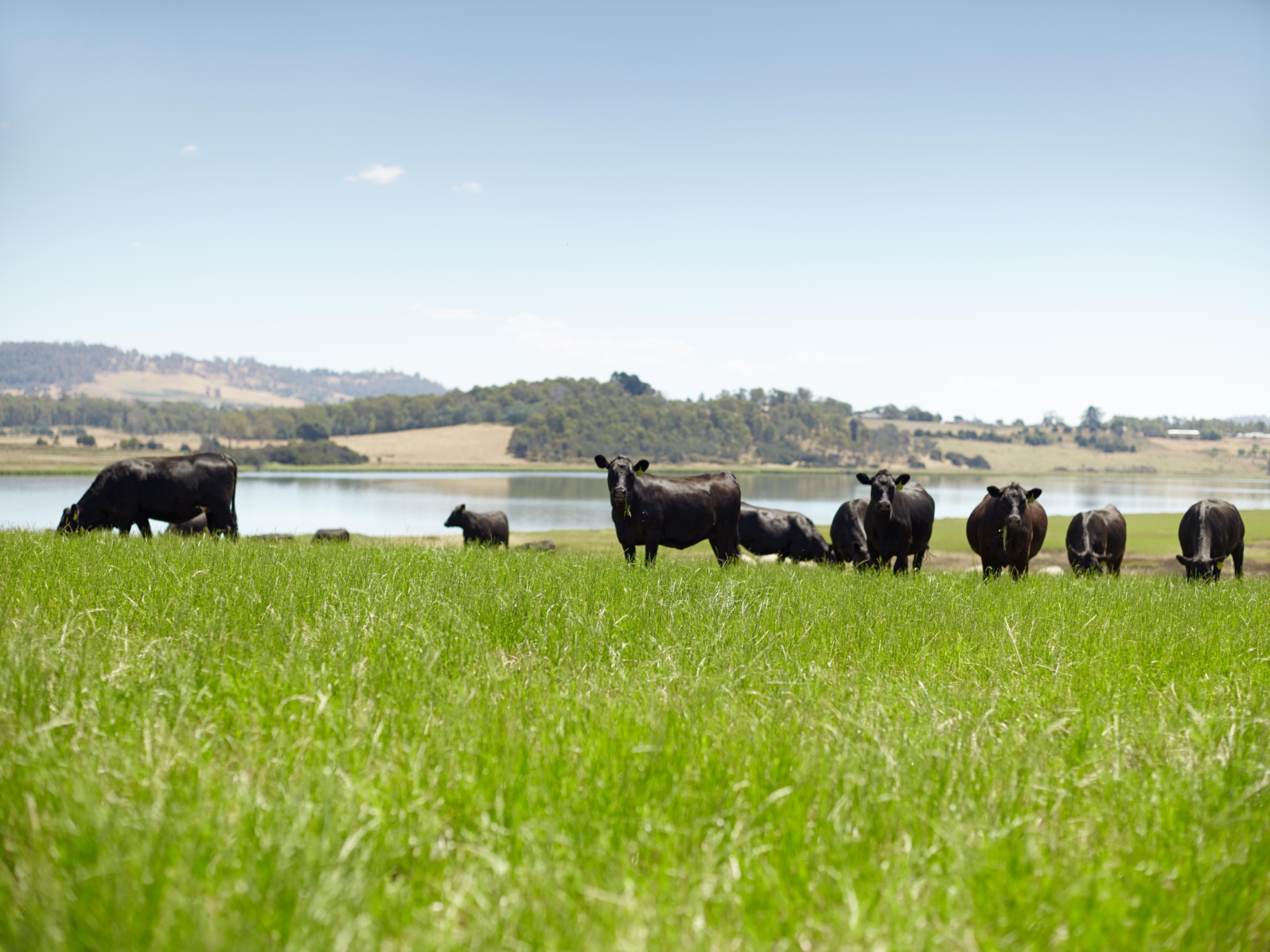 , Nourishing the body with True Aussie red meat at Cloudstreet