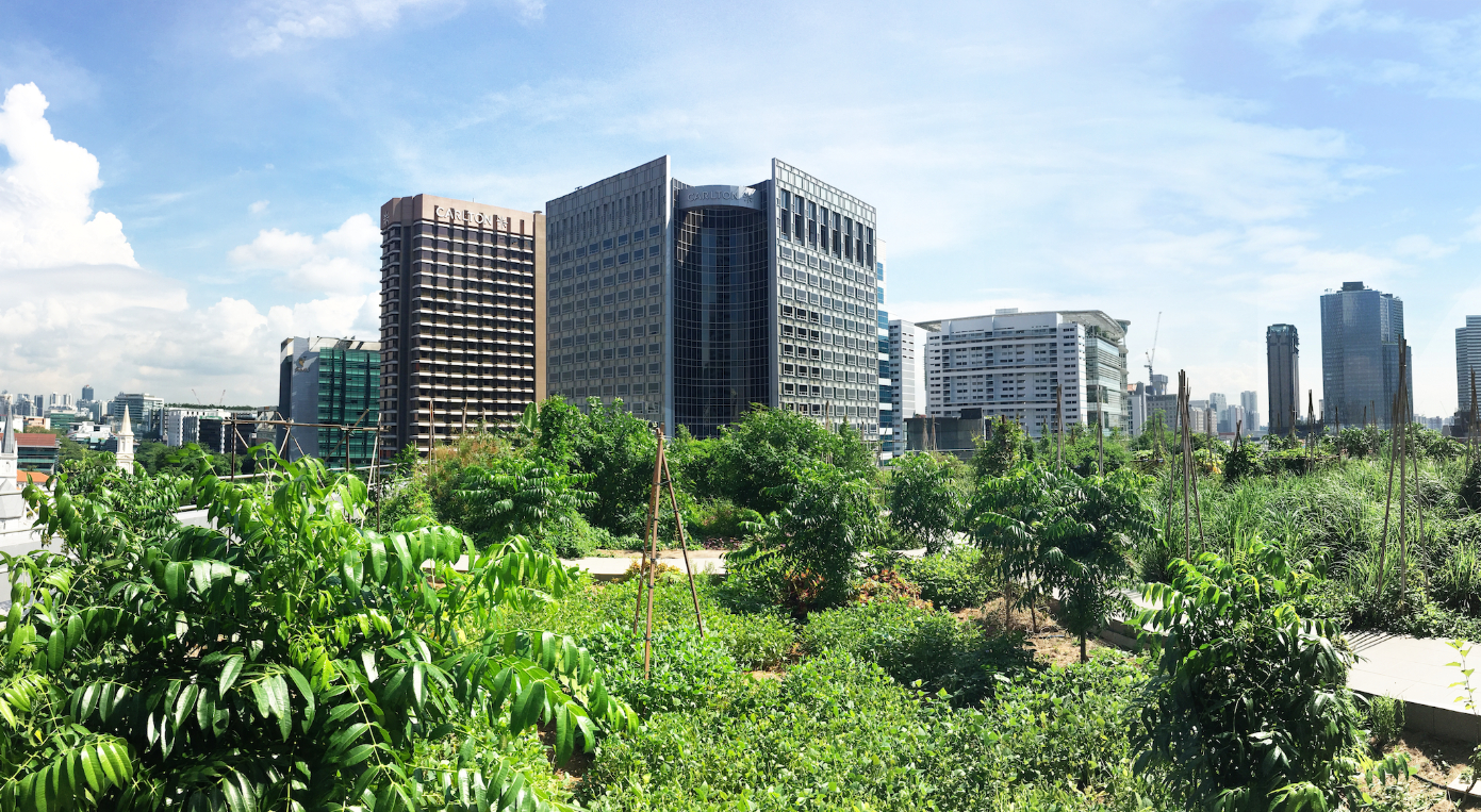 , Our Garden City: 5 minutes with Edible Garden City&#8217;s Bjorn Low