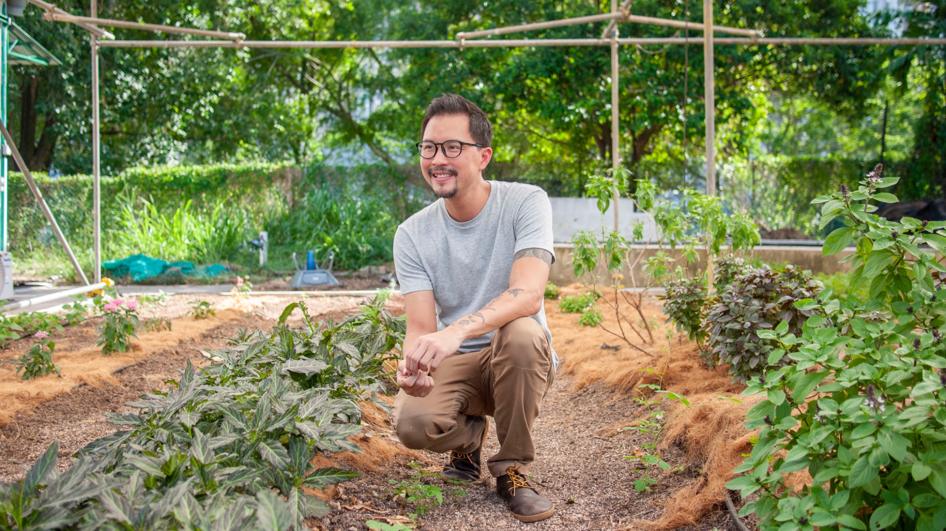 , Our Garden City: 5 minutes with Edible Garden City&#8217;s Bjorn Low