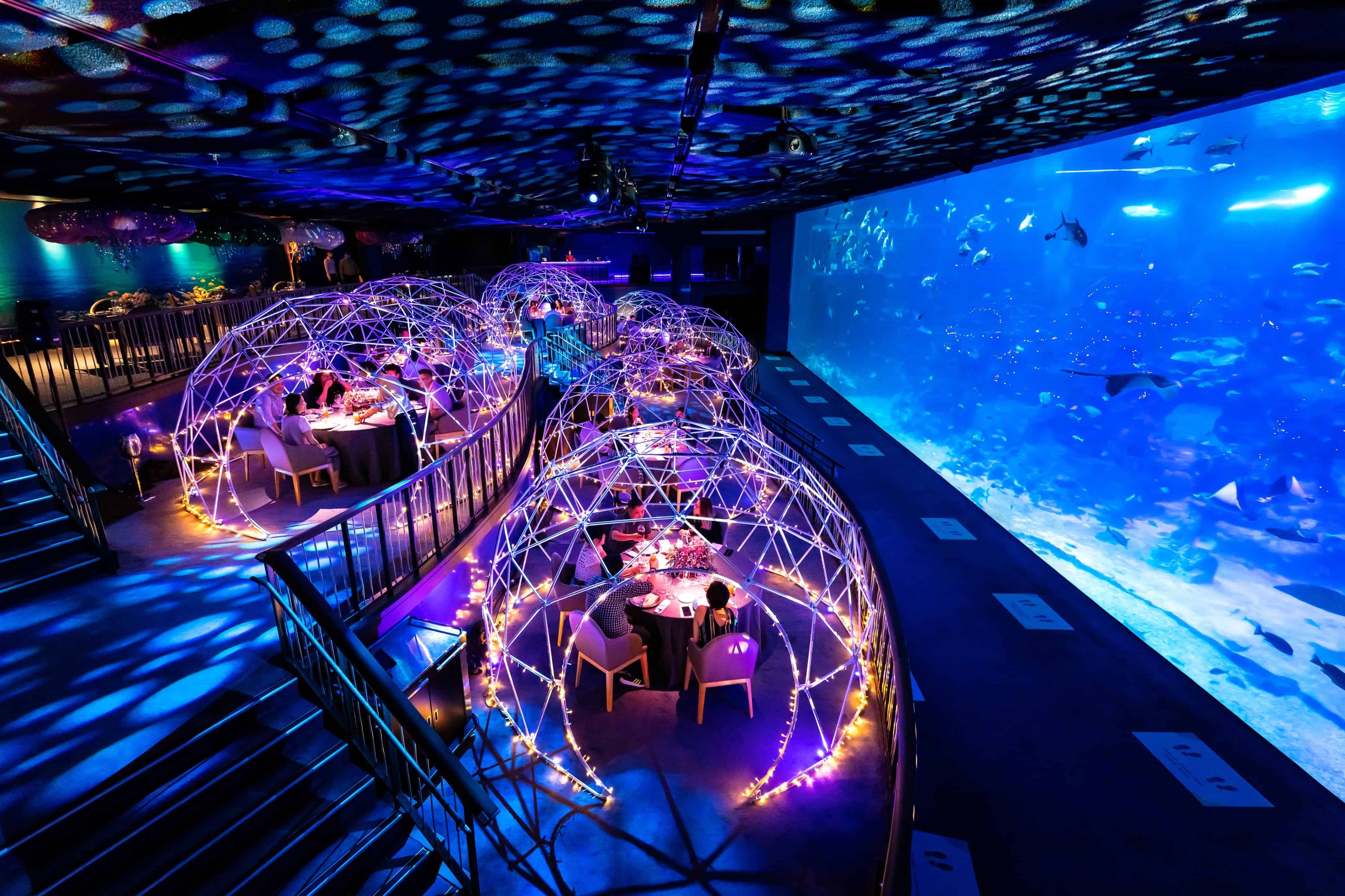 , Dining with the underwater world