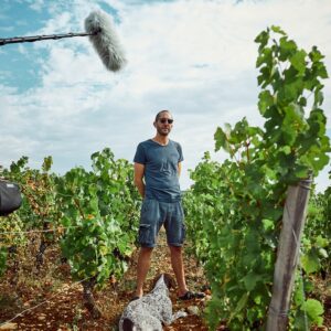 , (Review) Get virtually hooked on wines through online portal Vivant