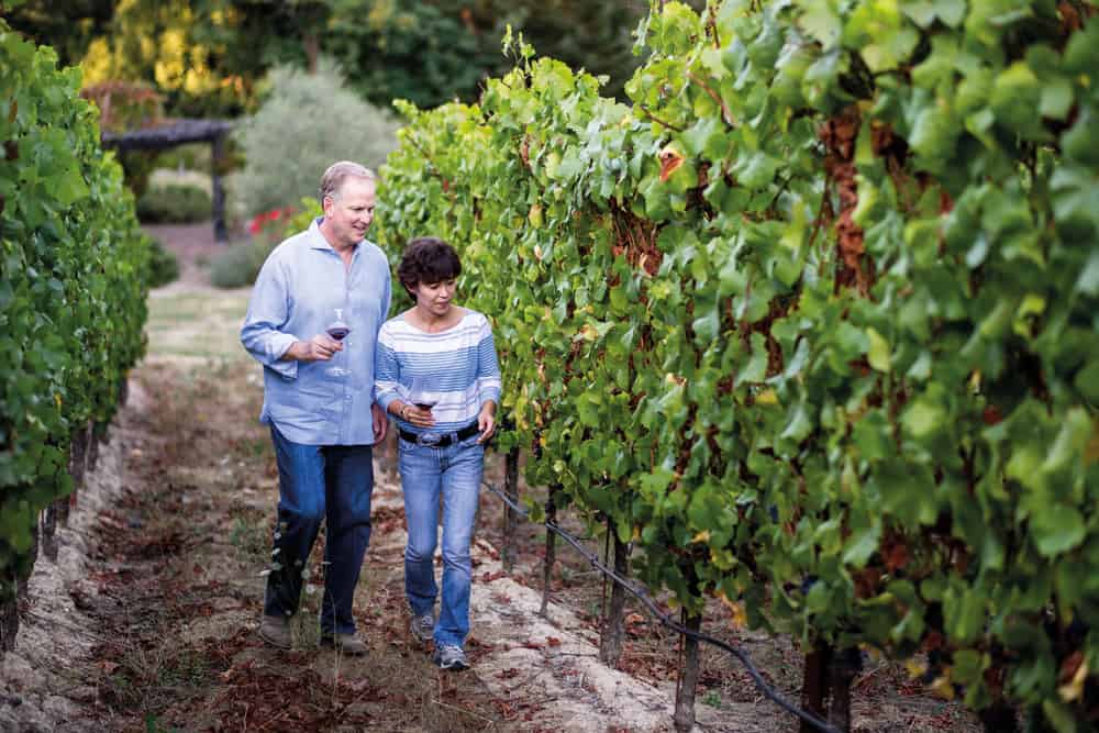 , The Accidental Winemaker