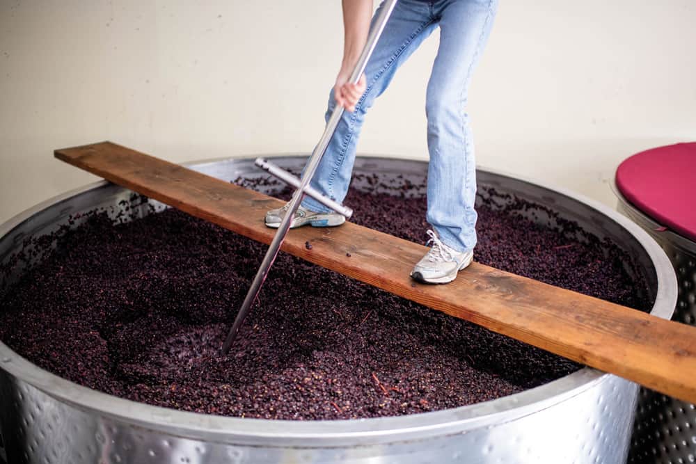, The Accidental Winemaker