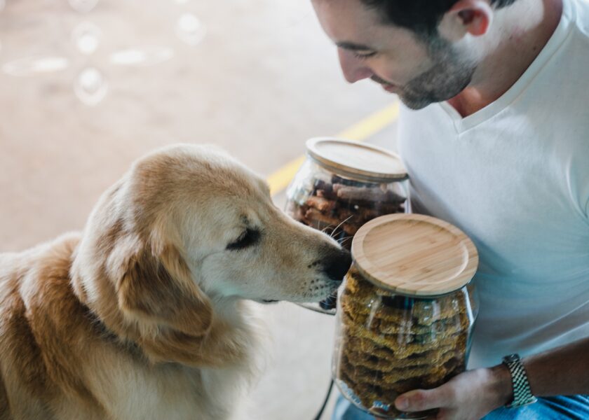 , Brand new dog-friendly Mylo’s opens at Gardens by the Bay