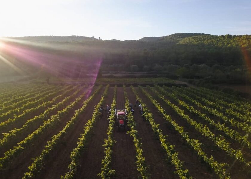 , Agusti Torello Mata: An ode to the Spanish art of Cava