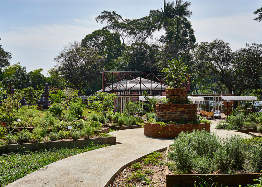 , Celebrating Farm Feasting with local homegrown produce at Open Farm Community