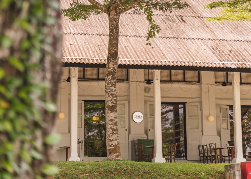 , Terra Madre is your latest one-stop shop and restaurant for everything organic and natural in Singapore