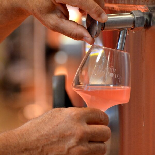 , Life in pink: Why Provence rosé wines should be part of your lifestyle