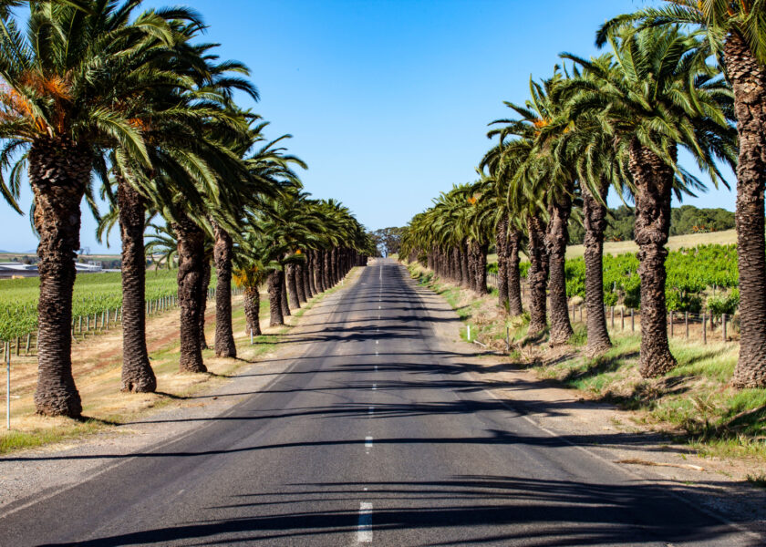 , Get your Barossa and Mclaren Vale wines from these three merchants