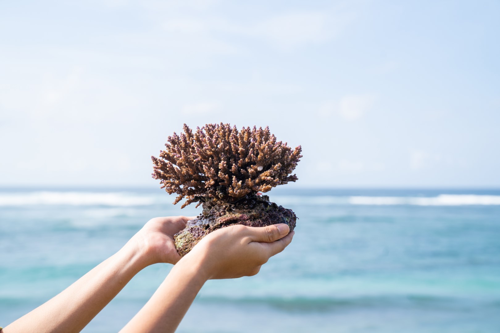 Global Day of Discovery 2023 at Renaissance Bali Uluwatu Resort & Spa, Global Day of Discovery 2023 at Renaissance Bali Uluwatu Resort & Spa
