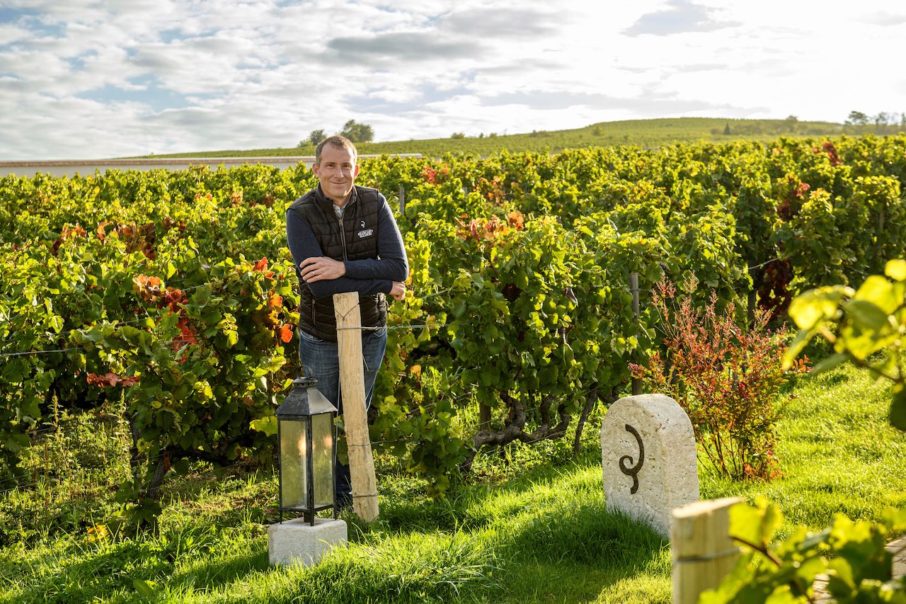 How Top Champagne Houses Are Championing Sustainability, How 3 Top Champagne Houses Are Championing Sustainability