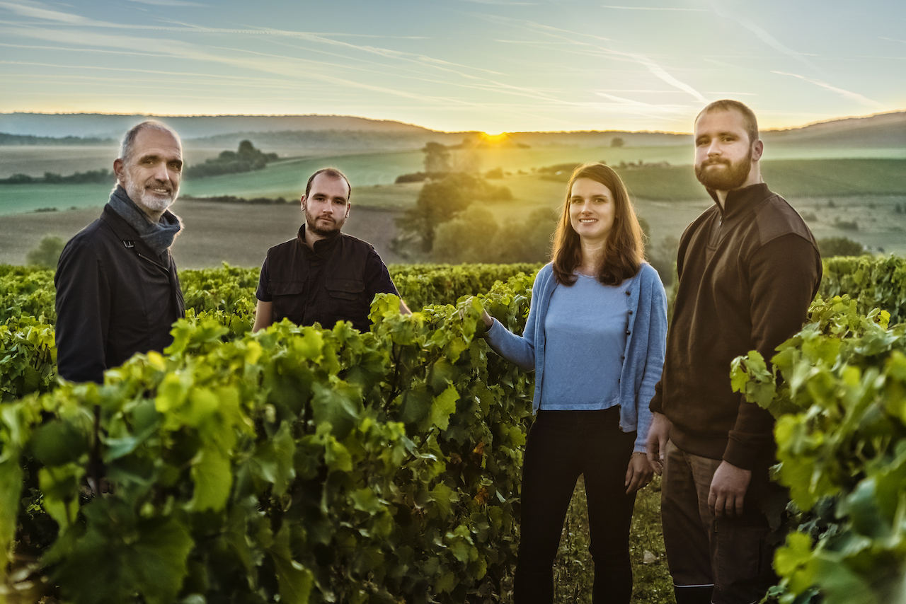 How Top Champagne Houses Are Championing Sustainability, How 3 Top Champagne Houses Are Championing Sustainability