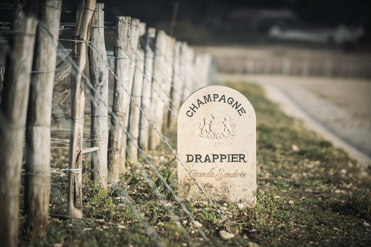 How Top Champagne Houses Are Championing Sustainability, How 3 Top Champagne Houses Are Championing Sustainability