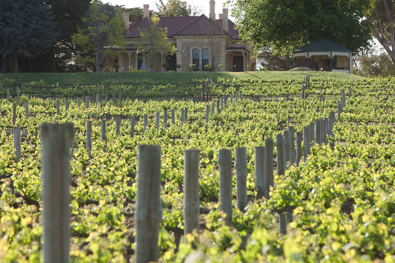 Penfolds technology sustainability future proofing winemaking, Penfolds winemaker Steph Dutton on technology, sustainability and future proofing in winemaking