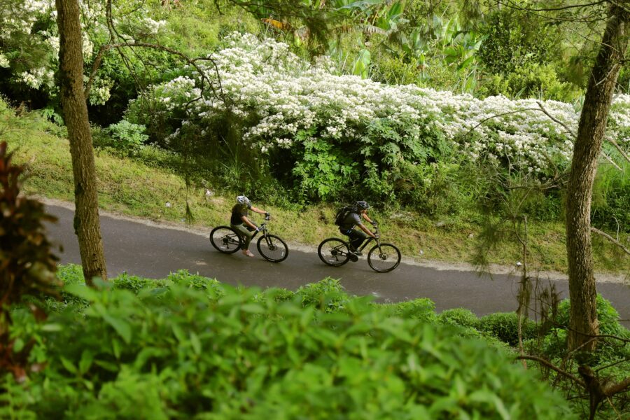 COMO Uma Ubud Journey