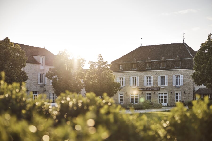 como le montrachet wine tour