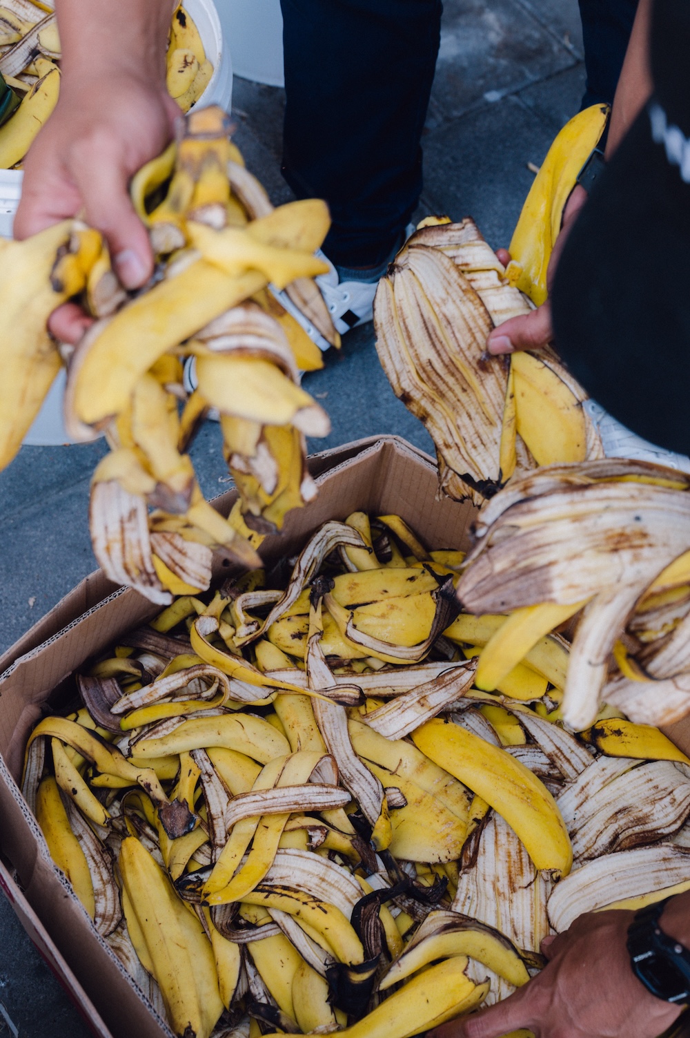 Community Waste Project, Community Waste Project: A Step Toward a More Sustainable Bali