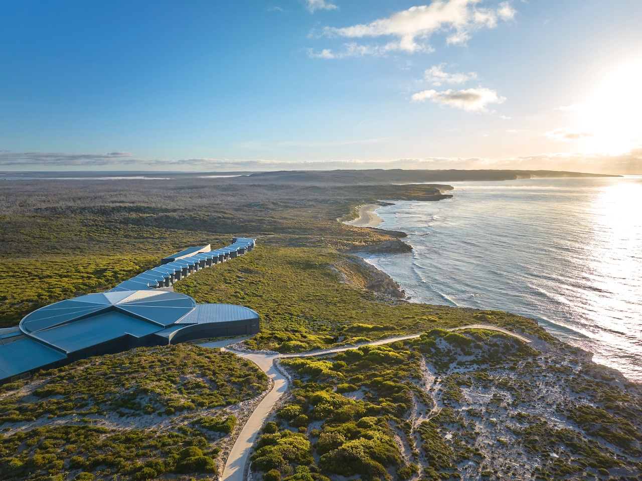 Kangaroo, Discover Kangaroo Island: Nature’s Playground Renewed