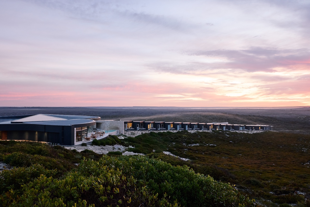 Kangaroo, Discover Kangaroo Island: Nature’s Playground Renewed
