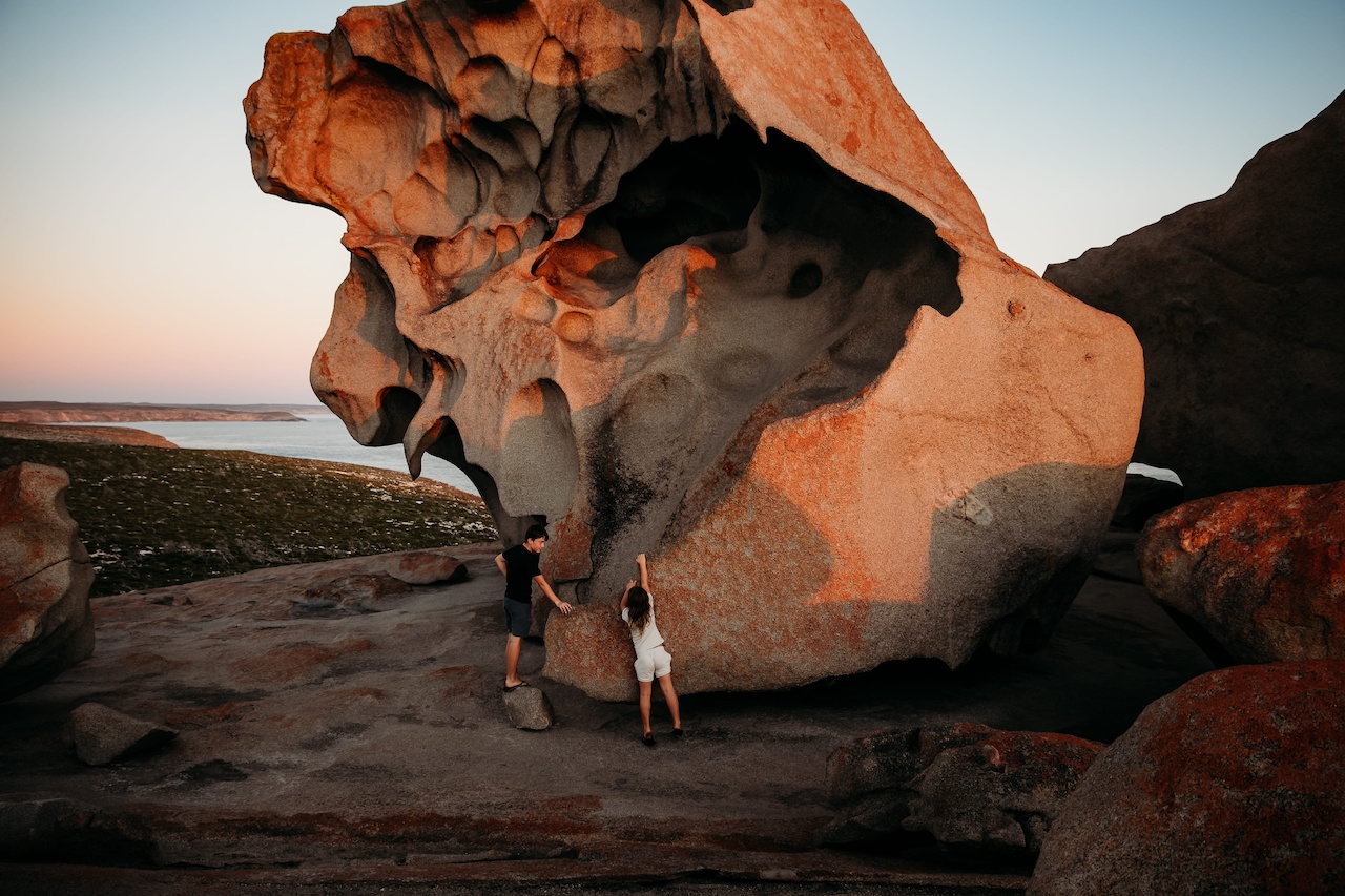 Kangaroo, Discover Kangaroo Island: Nature’s Playground Renewed