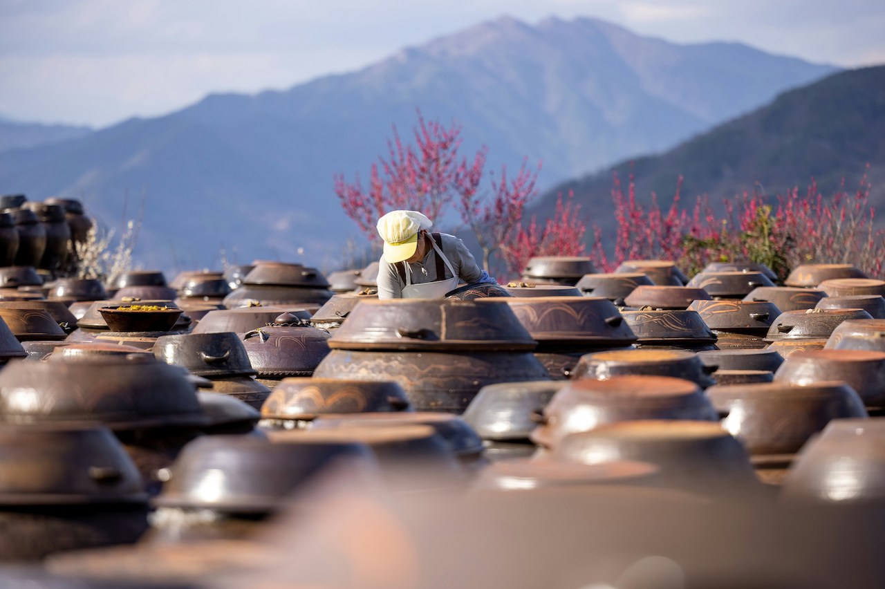 Jang, Seasoned with Time: Why Jang Is the Backbone of Korean Cuisine