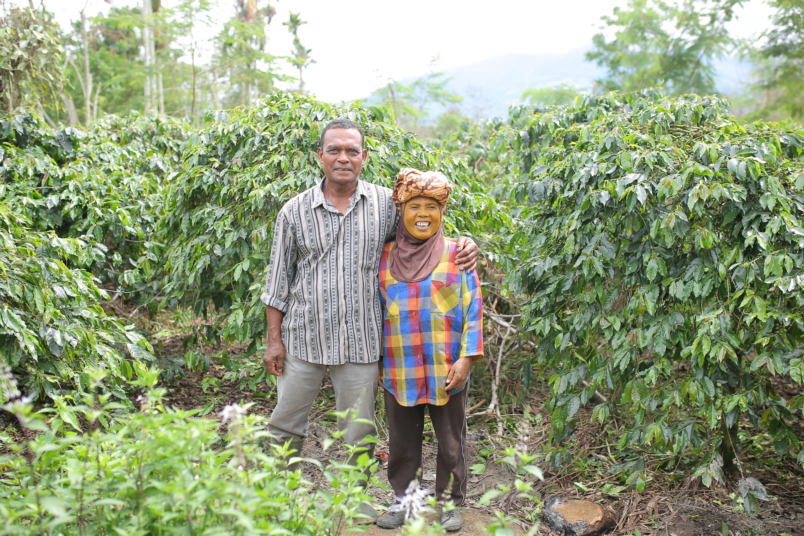 Starbucks Origins Experience in North Sumatra