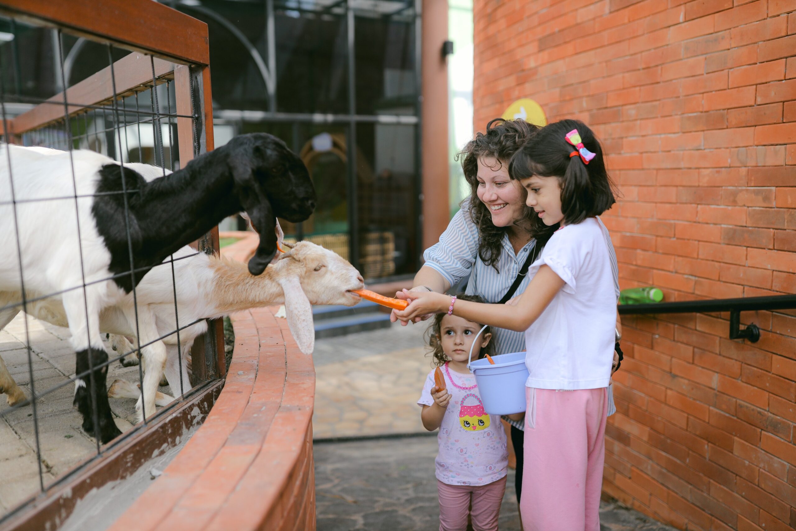 Mai Main Canggu, Easy Days Out with the Kids at Mai Main Canggu