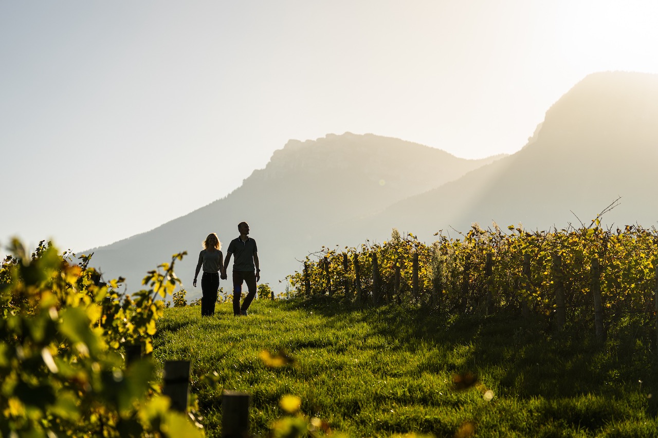 France, France’s Auvergne-Rhône-Alpes Uncorked: Sip, Hike and Savour
