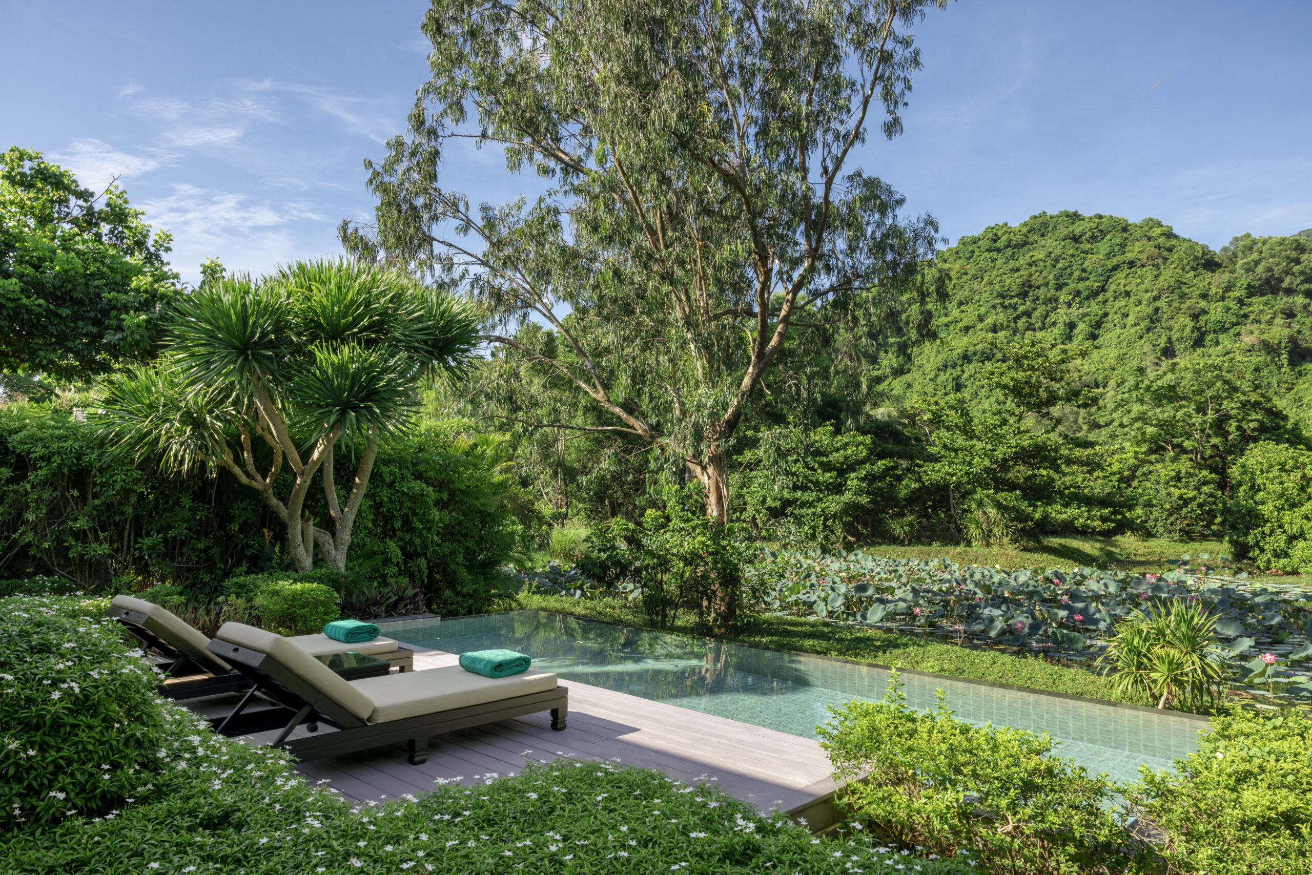 Banyan Tree Lăng Cô, An Ocean of Lotus and Light