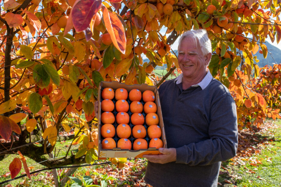 Made with care, Made With Care: From New Zealand, with Heart