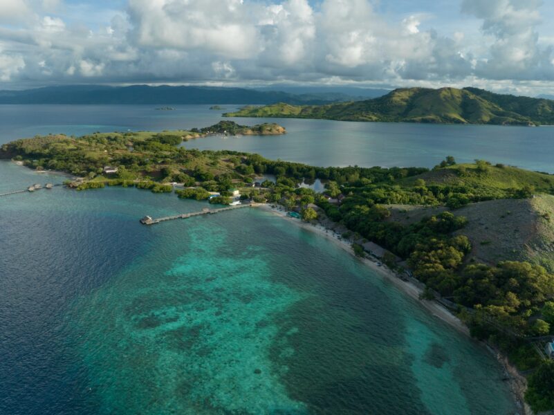 sudamala seraya coral conservation