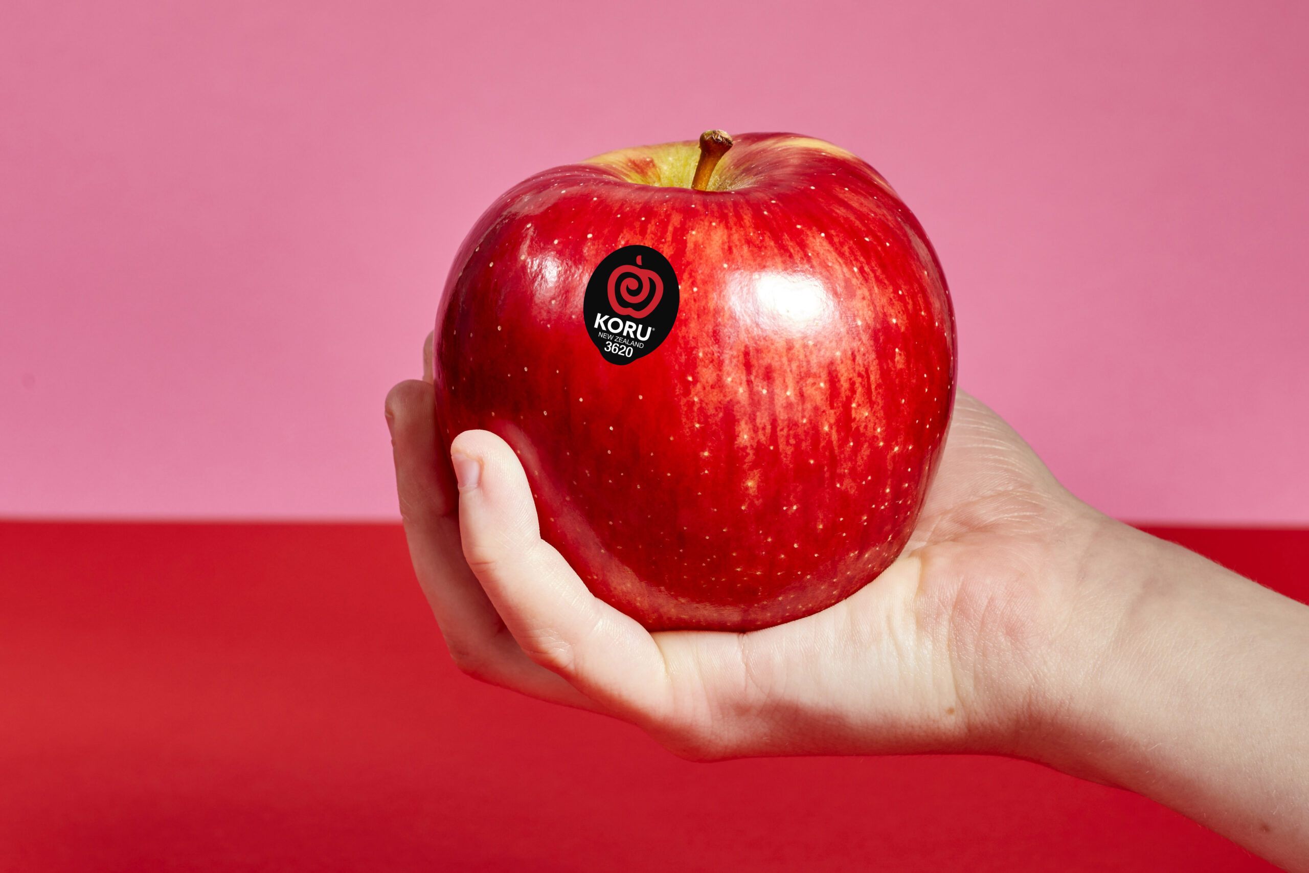 Made with care, Made With Care: From New Zealand, with Heart