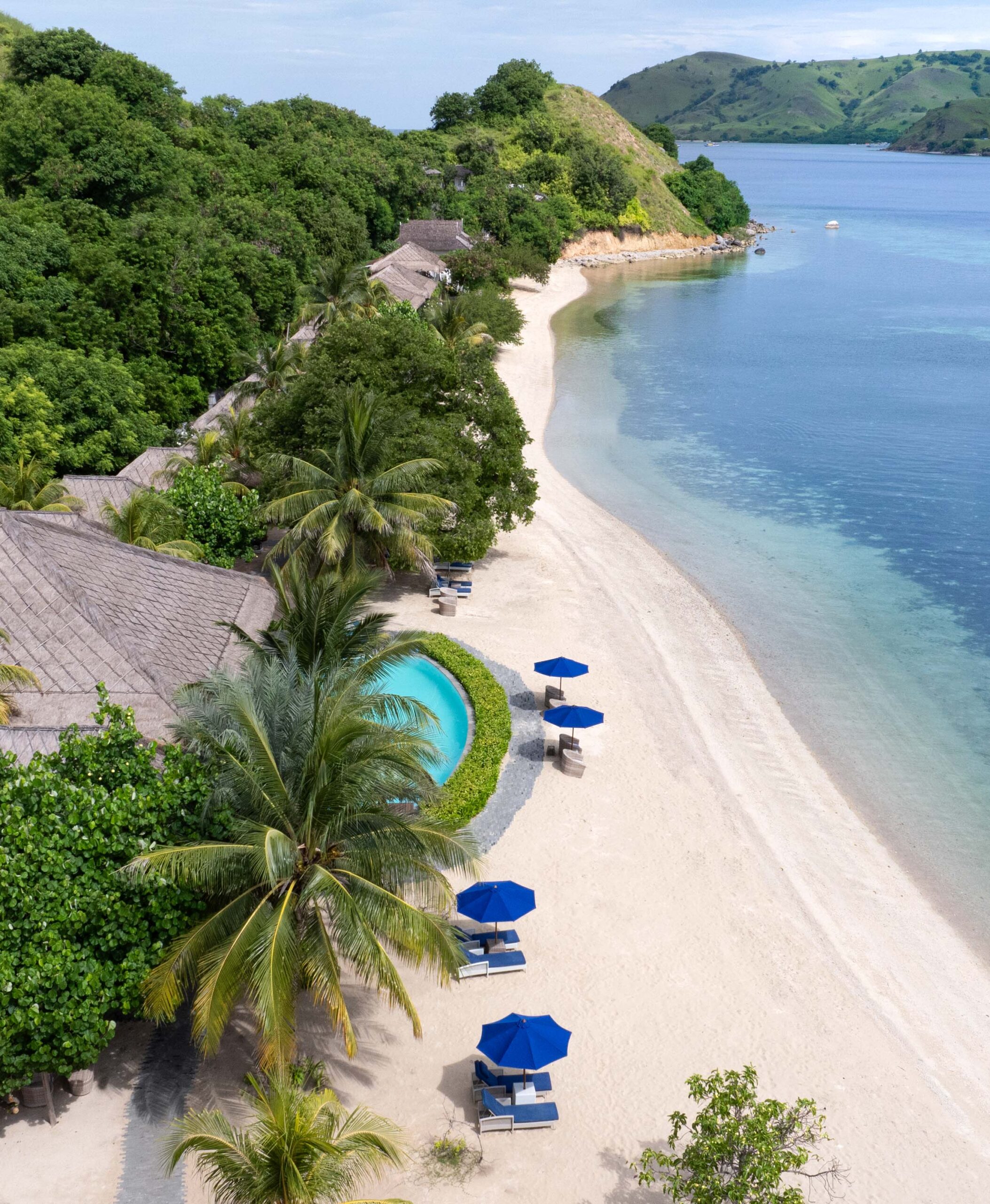sudamala seraya coral conservation