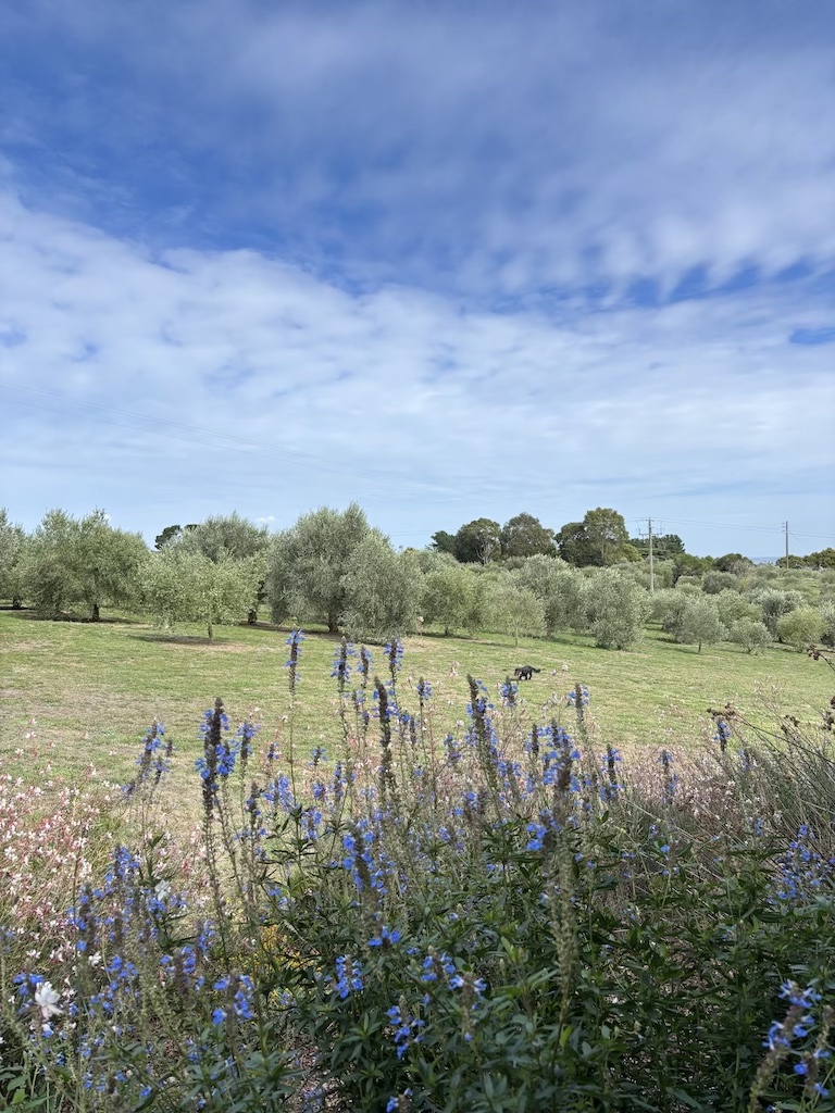 Gippsland, Chef Michael Wilson’s Culinary Homecoming in Gippsland, Victoria