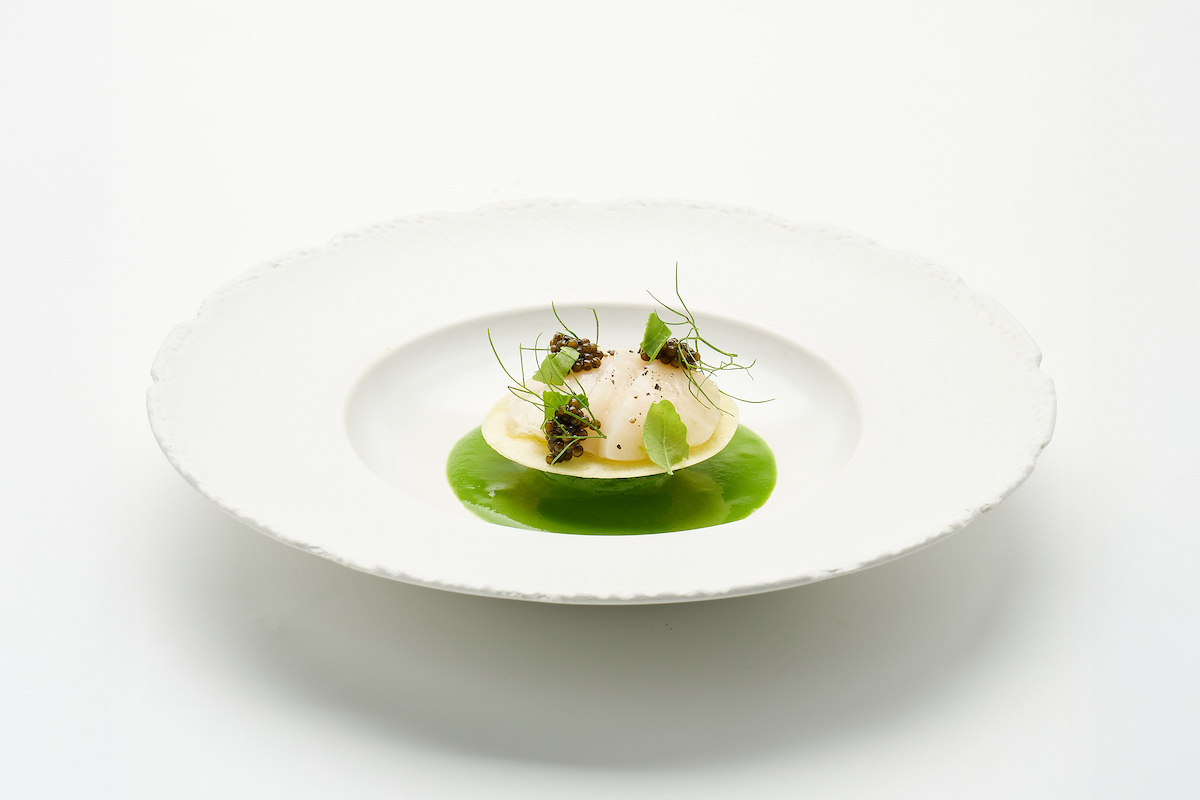 Scallop