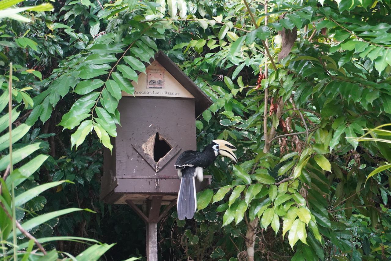 Pangkor, Escape To Malaysia’s Pangkor Laut For The Long Weekend