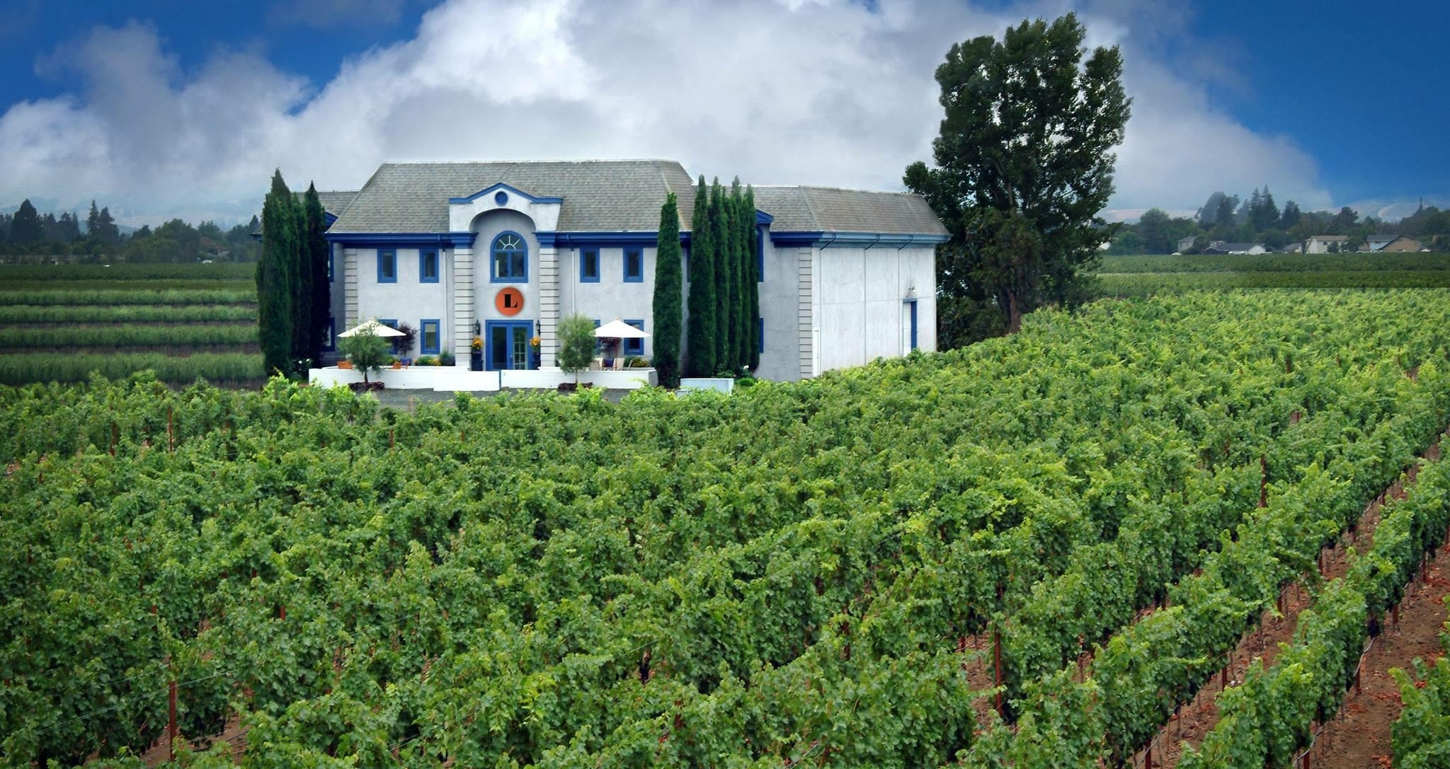 Lewis Cellars, Lewis Cellars: Napa Valley’s Best-Kept Secret for Collectible Wines