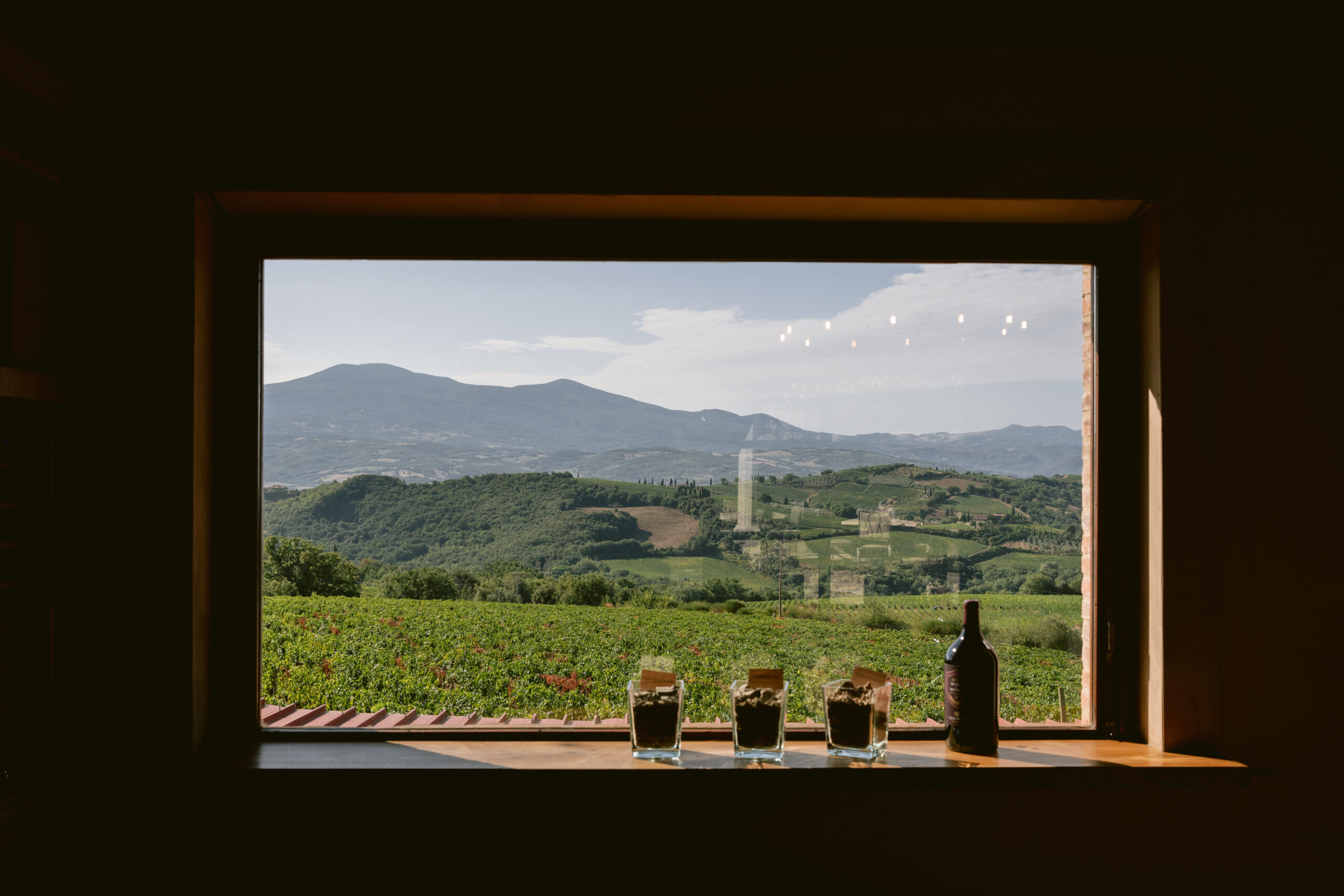 Italian vineyard
