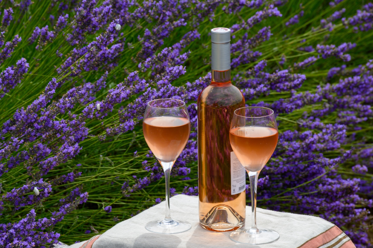 France's Rose Wines, A Season in Pink | France’s Rosé Wines and the Art of Living Lightly