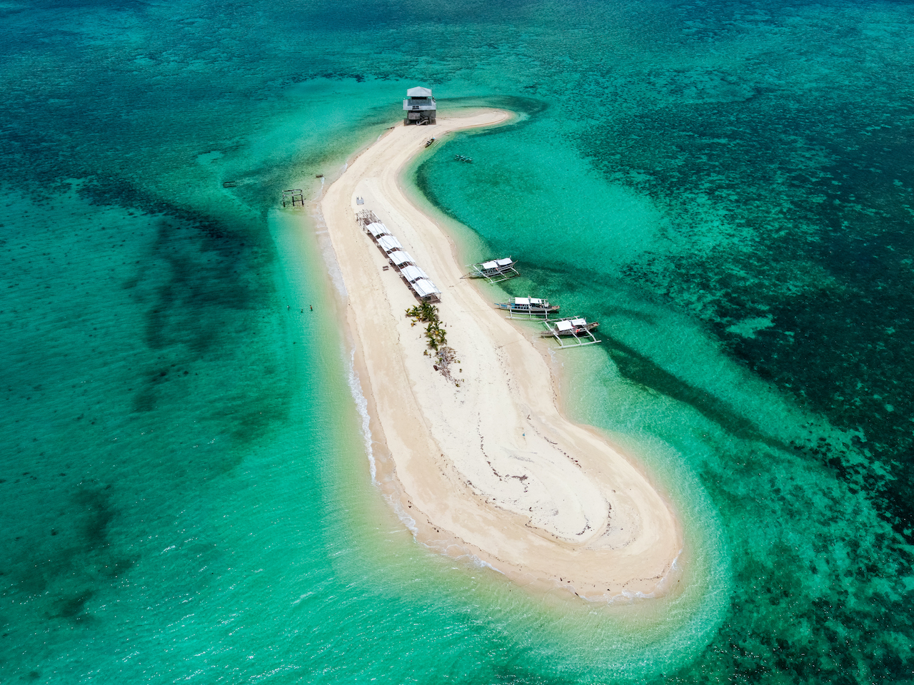 Terra Madre, Terra Madre Asia &#038; Pacific 2025: A Slow Food Revolution Takes Root in Bacolod