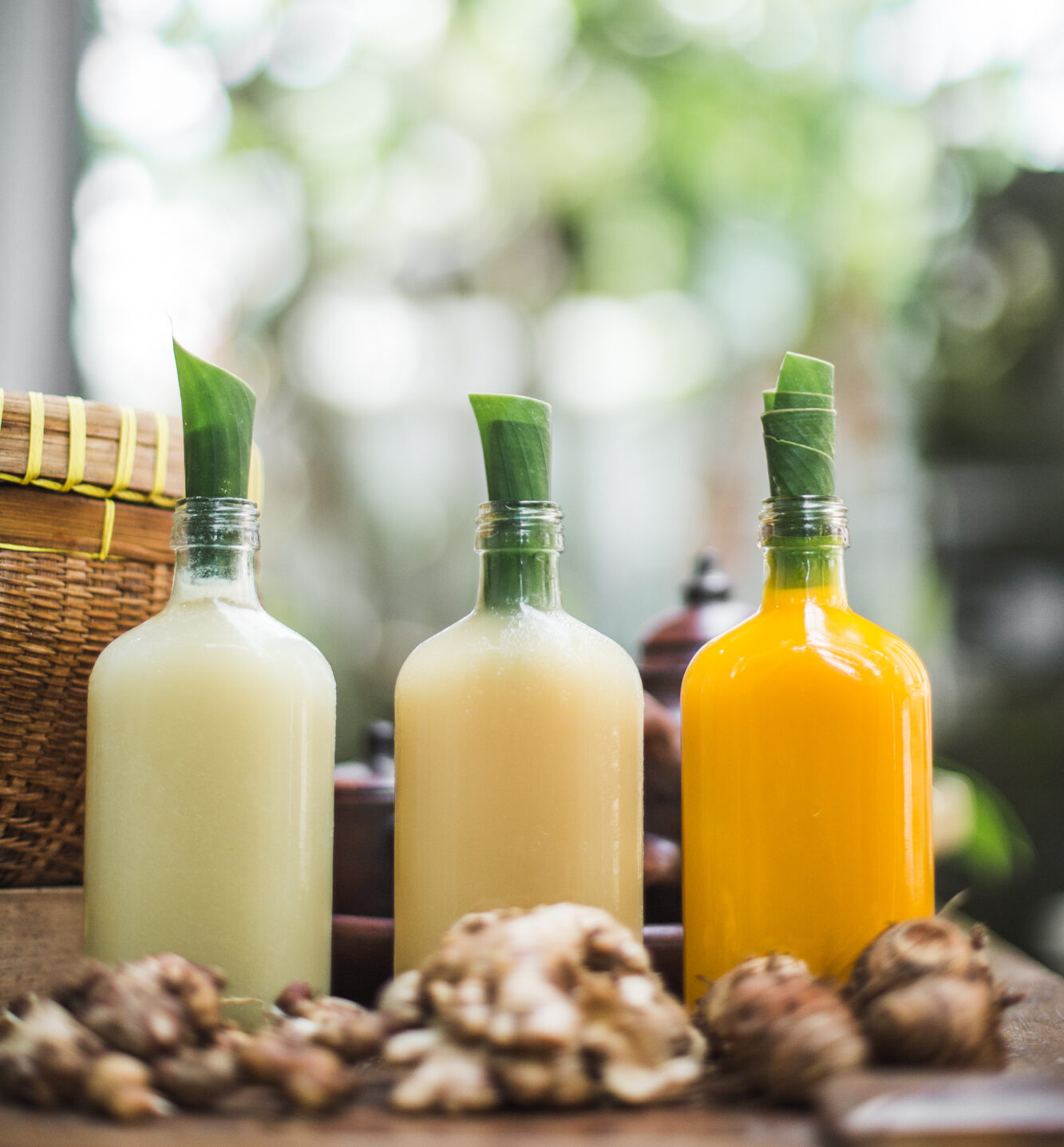 jamu, Jamu: Indonesia’s Timeless Elixirs